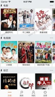 福利1福利2福利3在线,一网打尽福利1、福利2、福利3的精彩亮点”