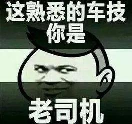 隔壁老司机福利在线,揭秘汽车行业最新动态与实用技巧