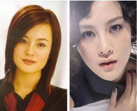 女明星换脸福利在线观看,揭秘虚拟与现实交错的美学盛宴